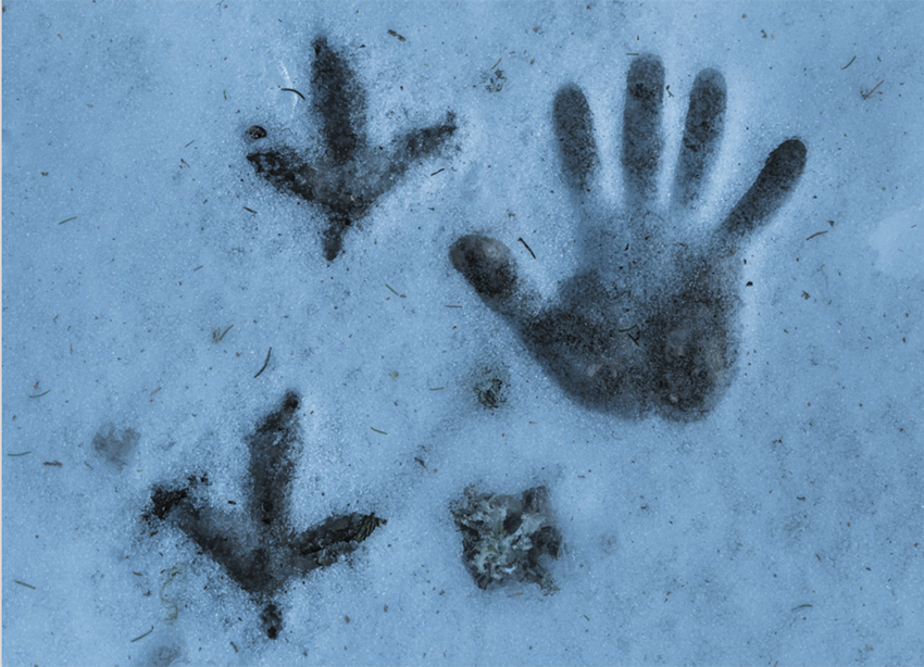 Journée doctorale de l’École doctorale Lettres, Arts, Sciences humaines et sociales – ED 540